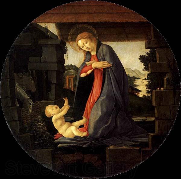BOTTICELLI, Sandro The Virgin Adoring the Child Spain oil painting art